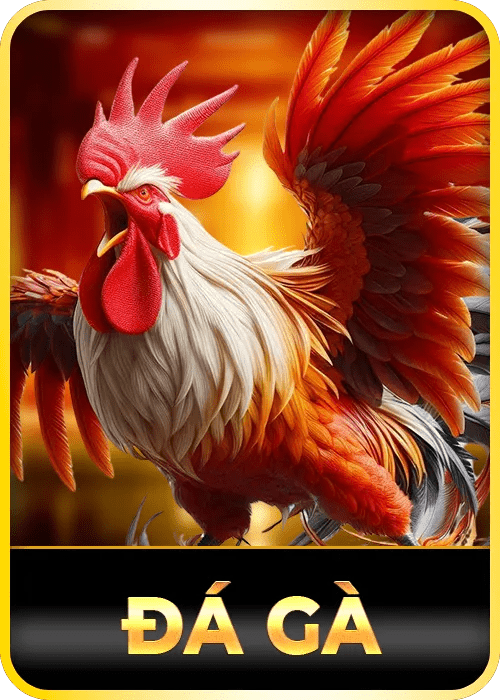 Đá Gà 56win
